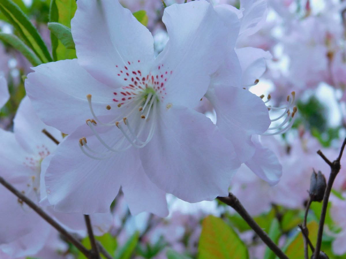 陸 tweet media