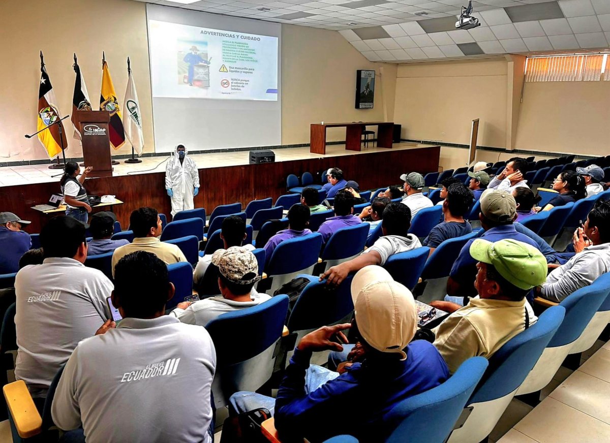 AgrocalidadZ2's tweet photo. #Orellana | 🌱 Capacitamos a técnicos de @INIAPECUADOR sobre el uso adecuado y manejo responsable de insumos agropecuarios, promoviendo prácticas sostenibles que fortalecen el sector agropecuario y la protección ambiental.
#AgrocalidadCapacita 👨‍🏫 https://t.co/iaT0OZzufJ