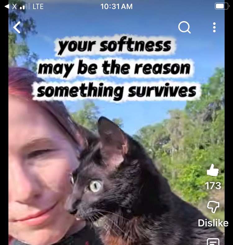 DeeMeow🐾 tweet media