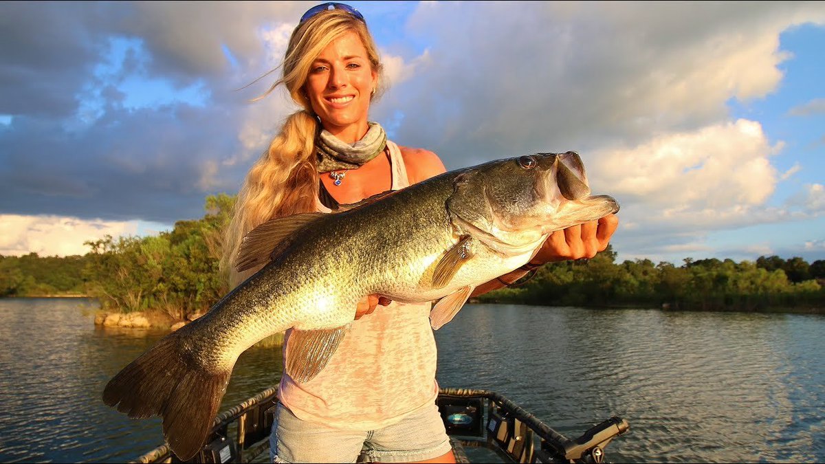 Bass Manager 🎣 tweet media