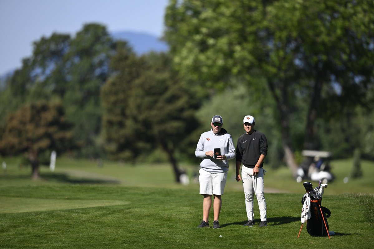 BeaverMGolf's tweet photo. Our second day at the Corvallis Regional has wrapped and while we wait for all the teams to complete their action, check out today's photo gallery.

https://t.co/MCFgYSAhZs

#GoBeavs https://t.co/B1k2ZV2Qce