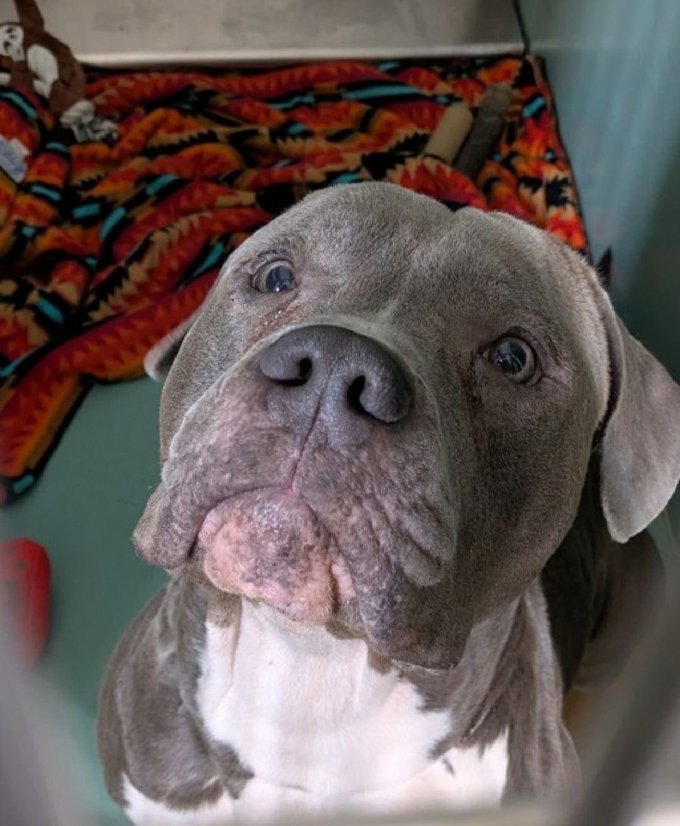 NYC ACC KILLS | TSNY tweet media