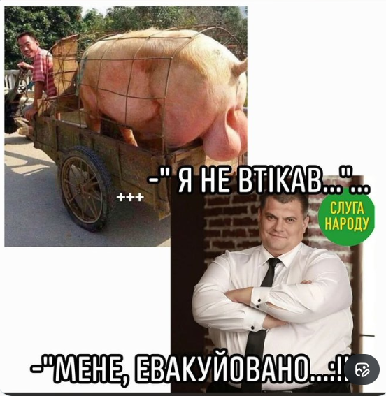 reptilion porohobotus 25% tweet media