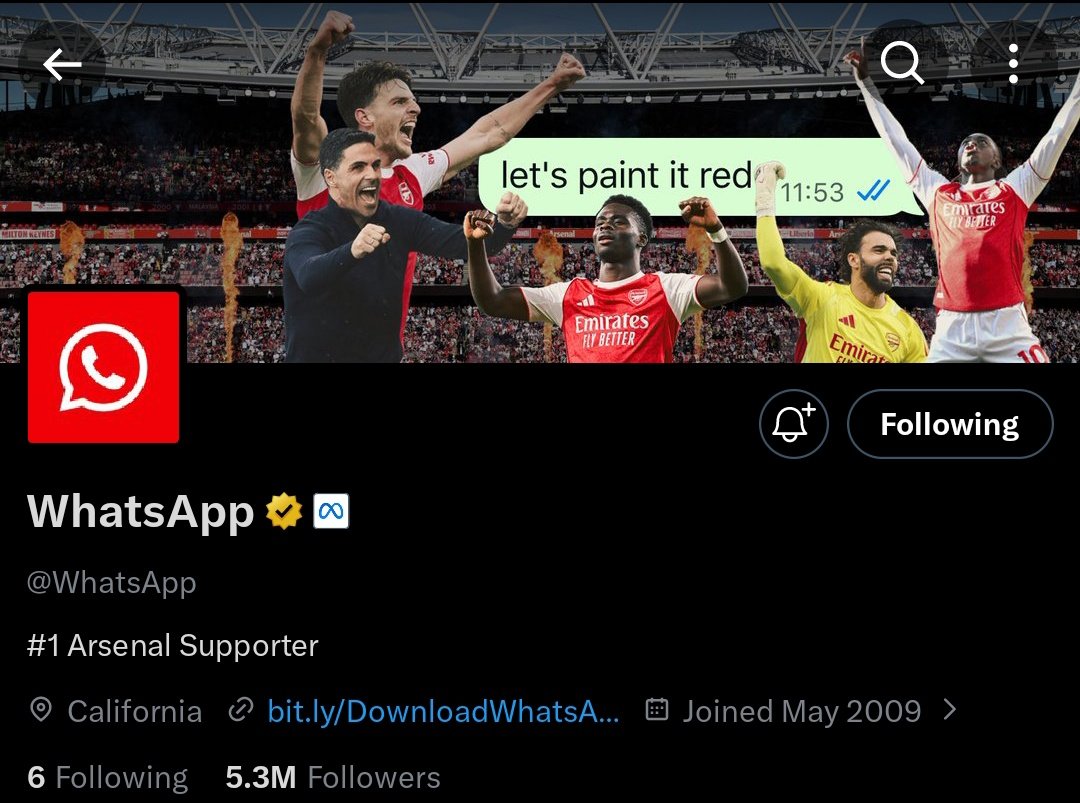 Steve • Design Partner tweet media