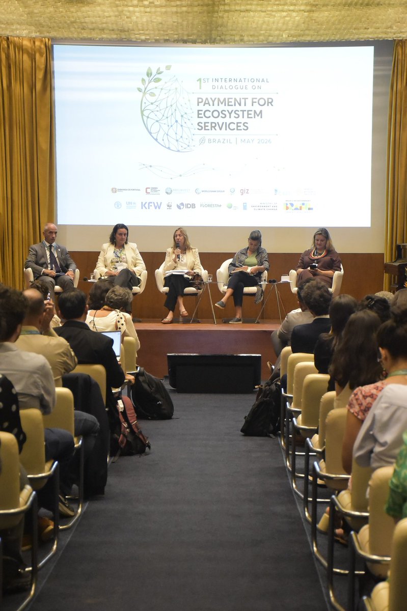 PNUDBrasil's tweet photo. O chefe do PNUD Brasil, @cprovidas, também participou hoje da abertura do 1º Diálogo Internacional sobre PSA, em Brasília. O evento reúne 20 países para discutir mecanismos de conservação ambiental. 

O PNUD também executa o Projeto Floresta+ Amazônia, pioneiro em PSA no país. 🌱 https://t.co/ogk6zoY3pq