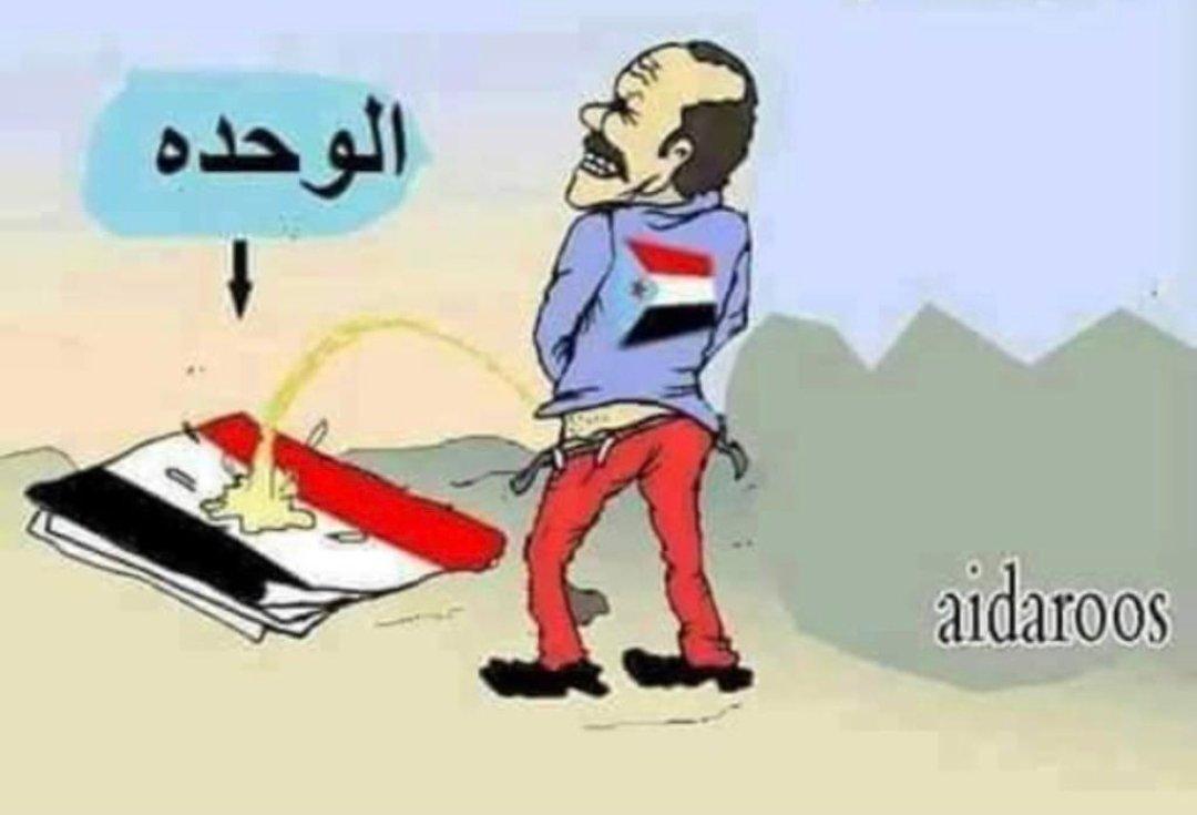 زايد tweet media