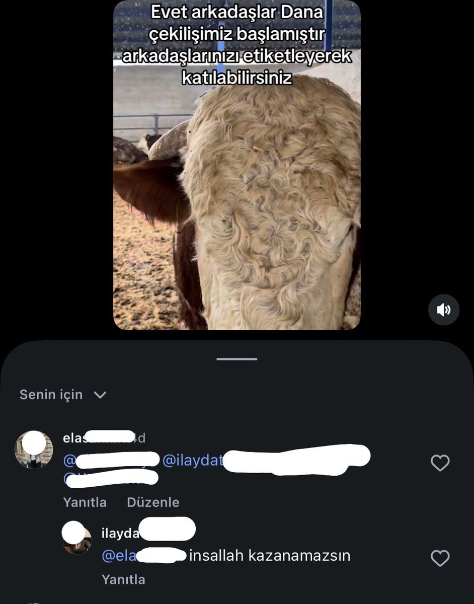elanur tweet media