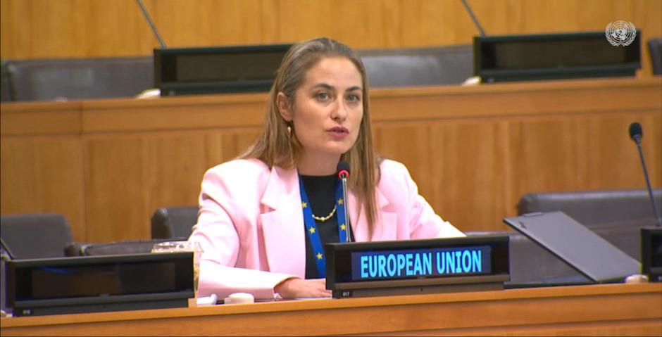 🇪🇺EU at UN-NY tweet media