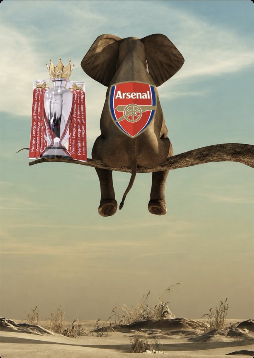 LikeChrisss's tweet photo. The elephant own that tree now btw https://t.co/t4TaaDrL9j