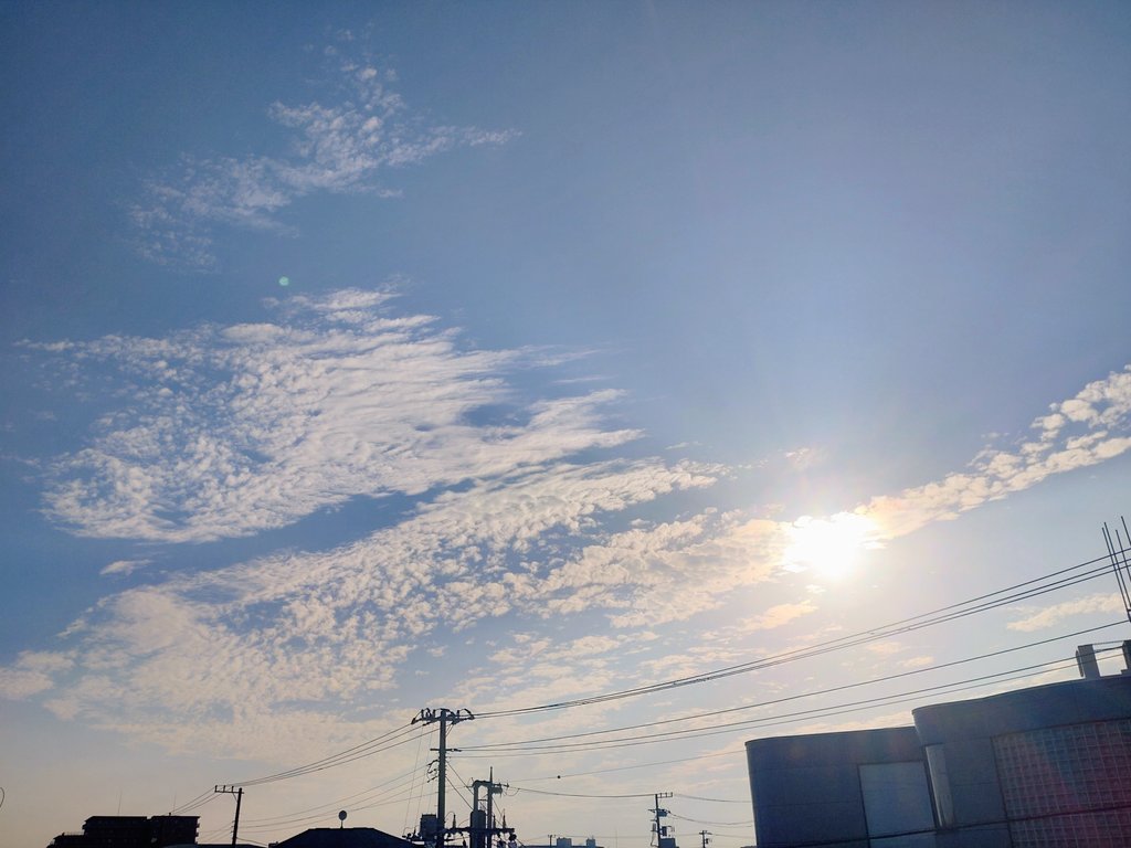 ショーイチ tweet media