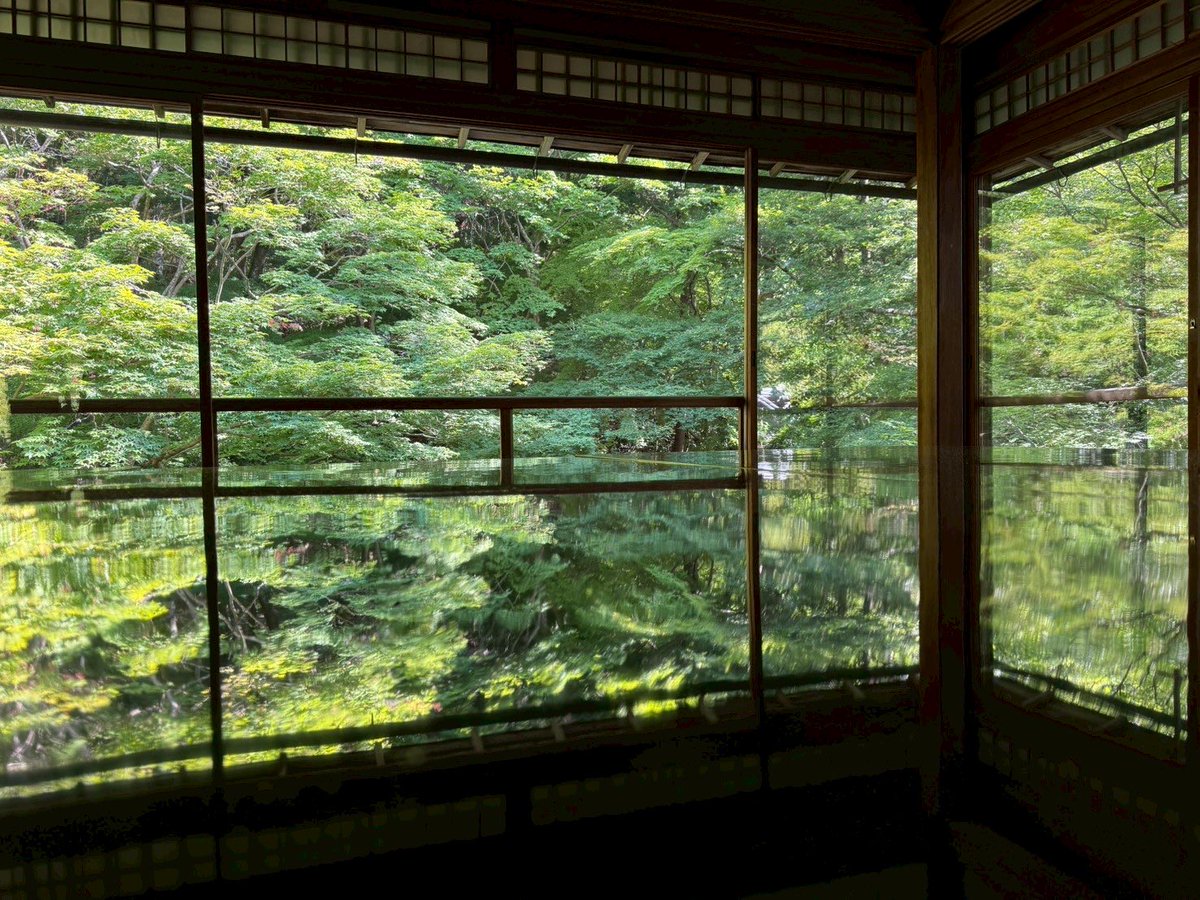 Kensuke Suzuki tweet media