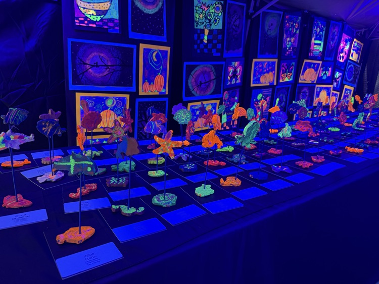 HFLLima's tweet photo. The artists at Cougar Creations continue to amaze us with their creativity and talent! Every piece is made with passion, imagination, and heart. #WEareHFL💛🐾🖤 https://t.co/IuBzR6Nmw9