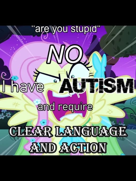 No Nonsense Neurodivergent tweet media