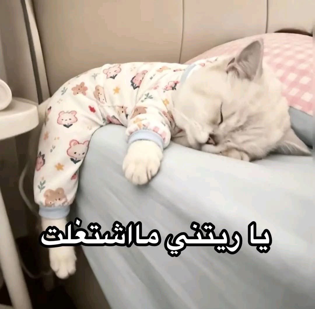 𝗠𝗔𝗛𝗠𝗢𝗨𝗗🥷🏻 tweet media