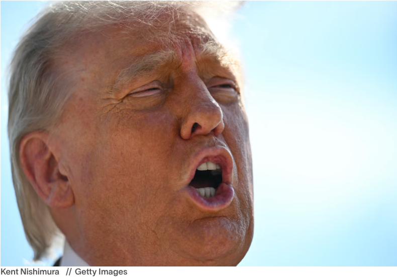 NATO -Blue Wave tweet media