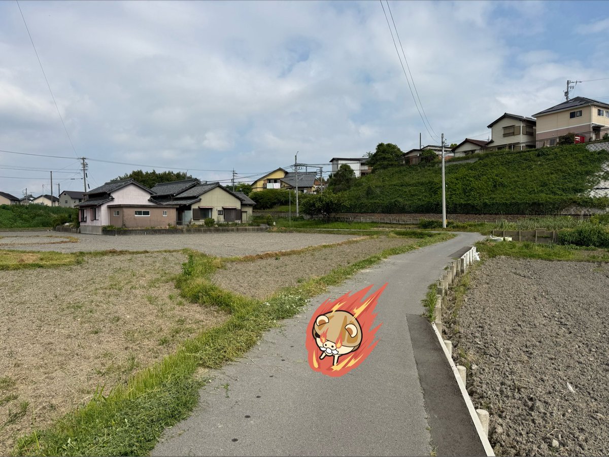 はまぐり犬 tweet media