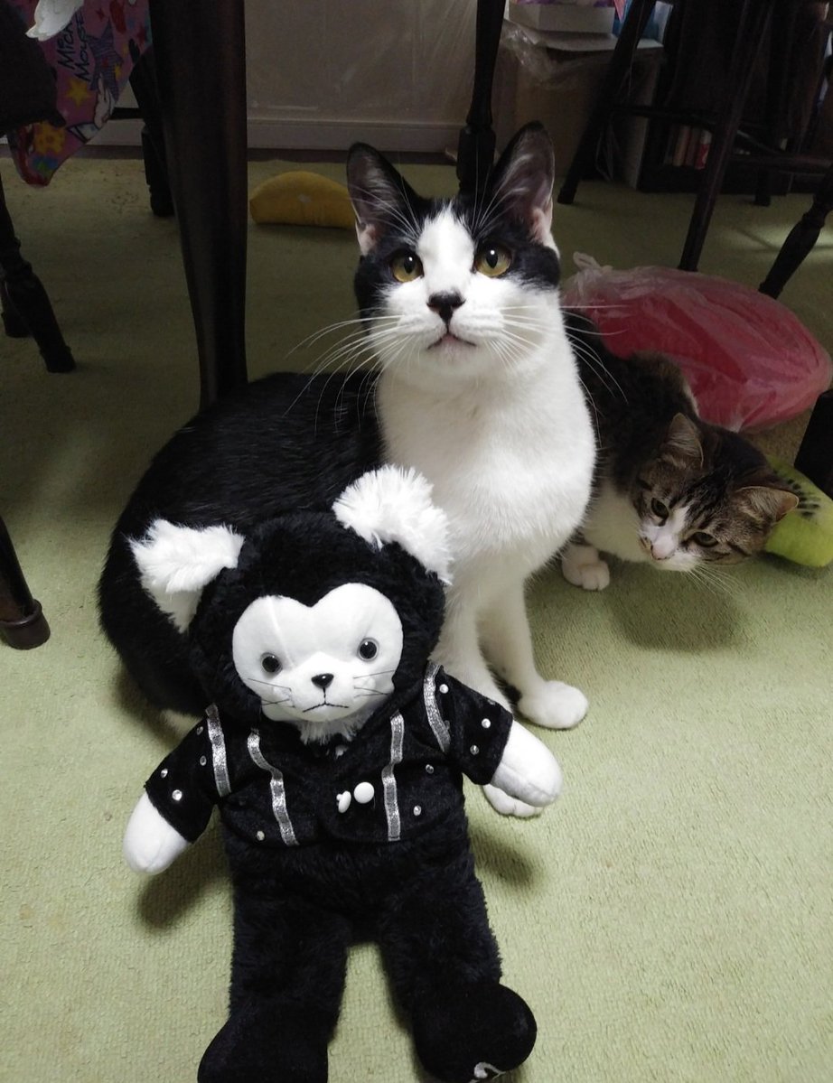 鬼檸檬 tweet media