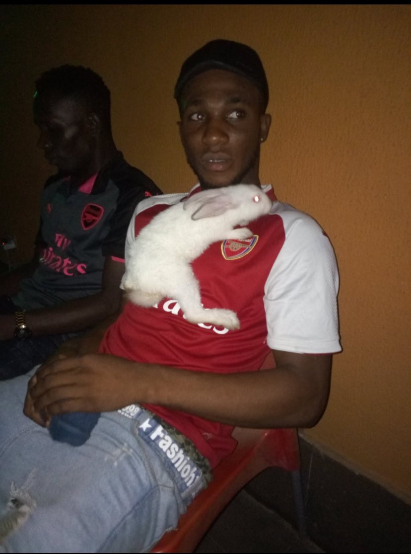 BerryAZ1's tweet photo. @TheChiefMK Even my Rat is happy for Arsenal ❤️ https://t.co/6UObwSrEAn