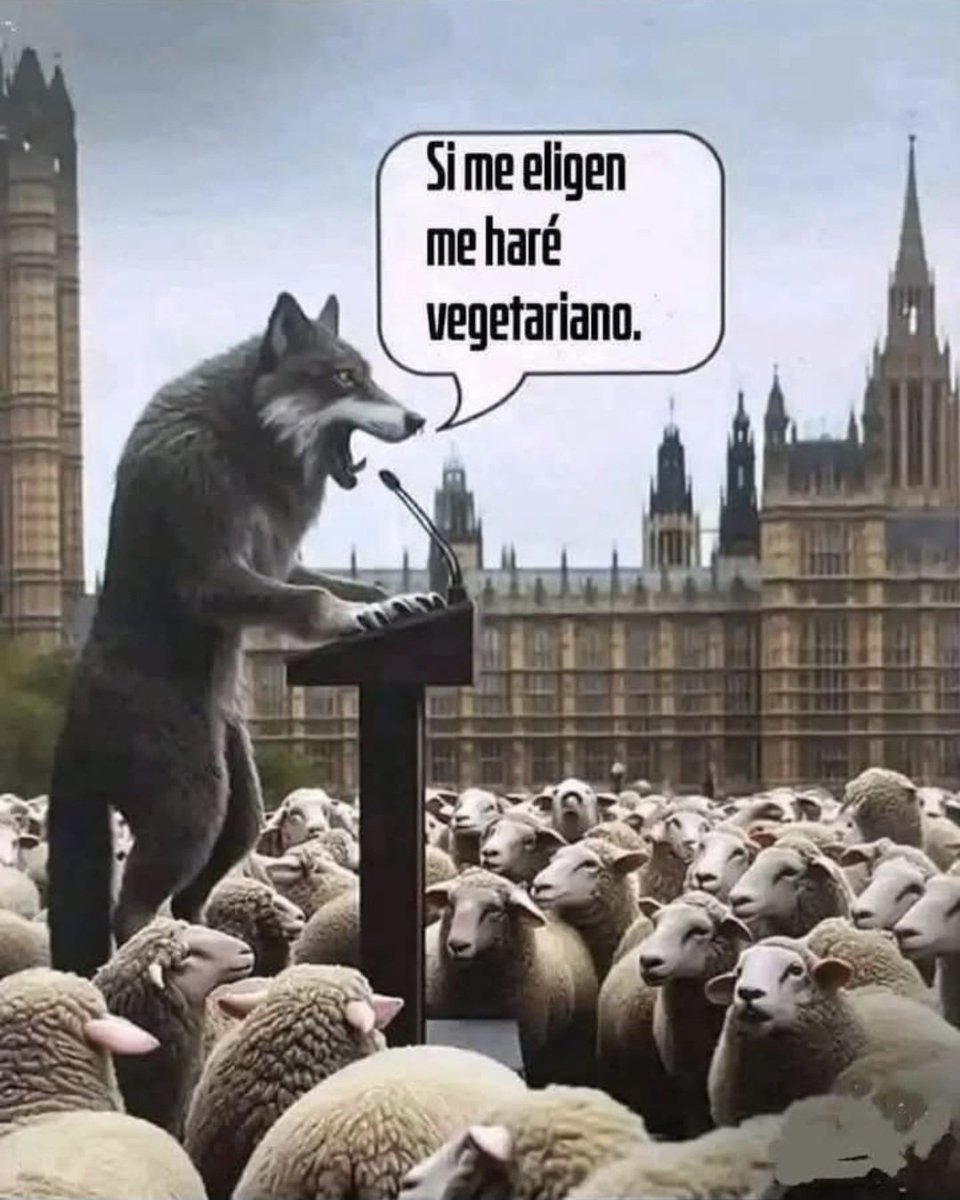 GERANIO tweet media