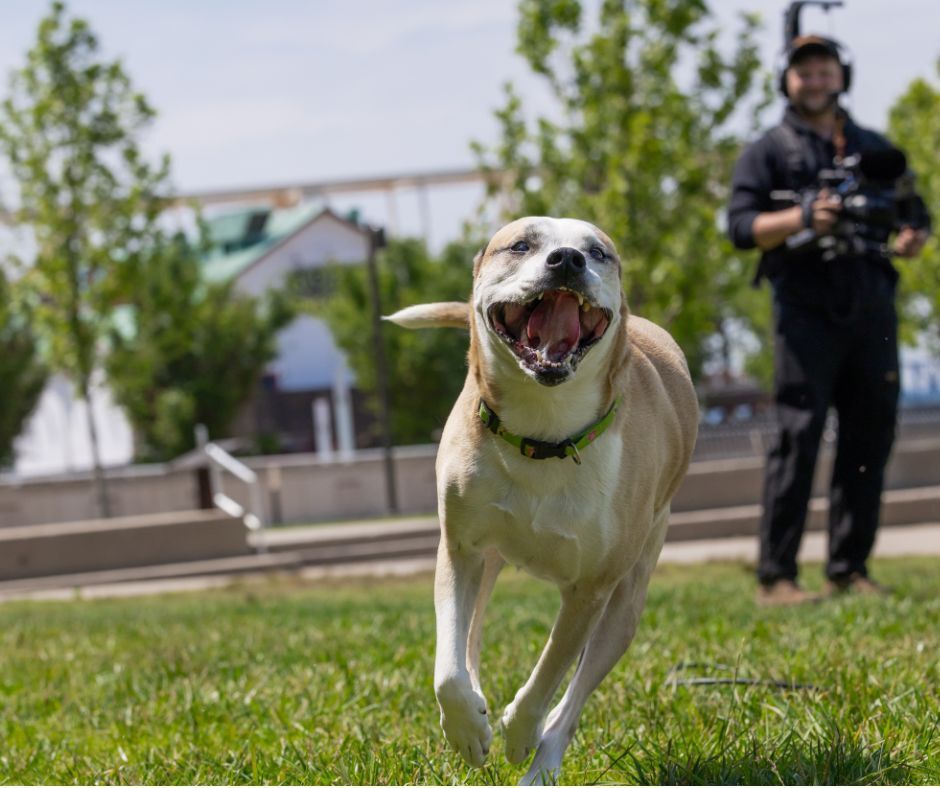 The TurfMutt Foundation tweet media