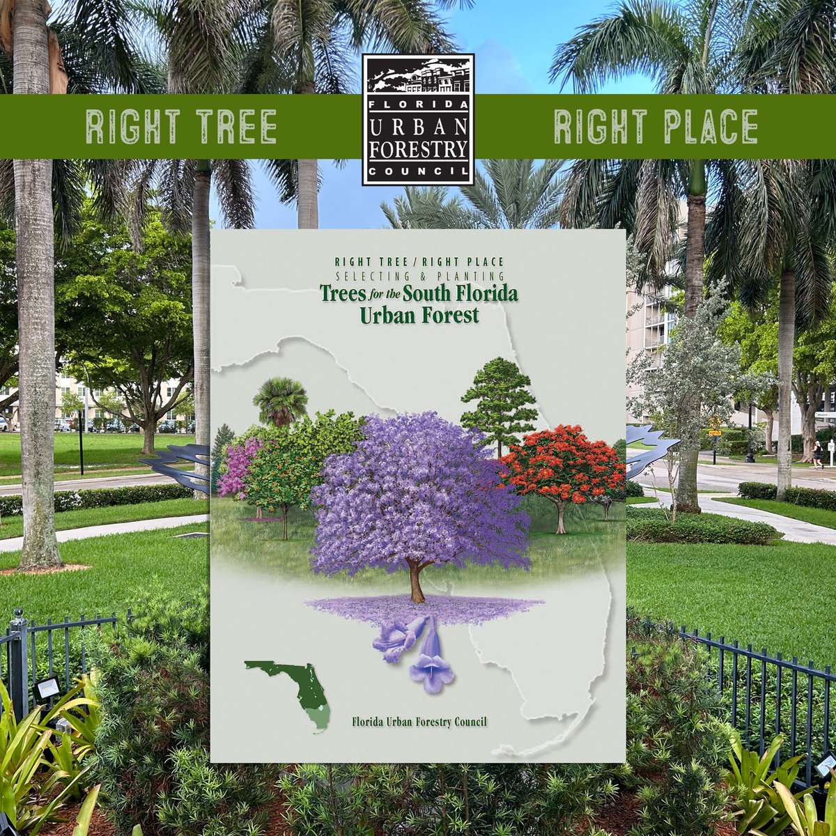 Florida Urban Forestry Council tweet media