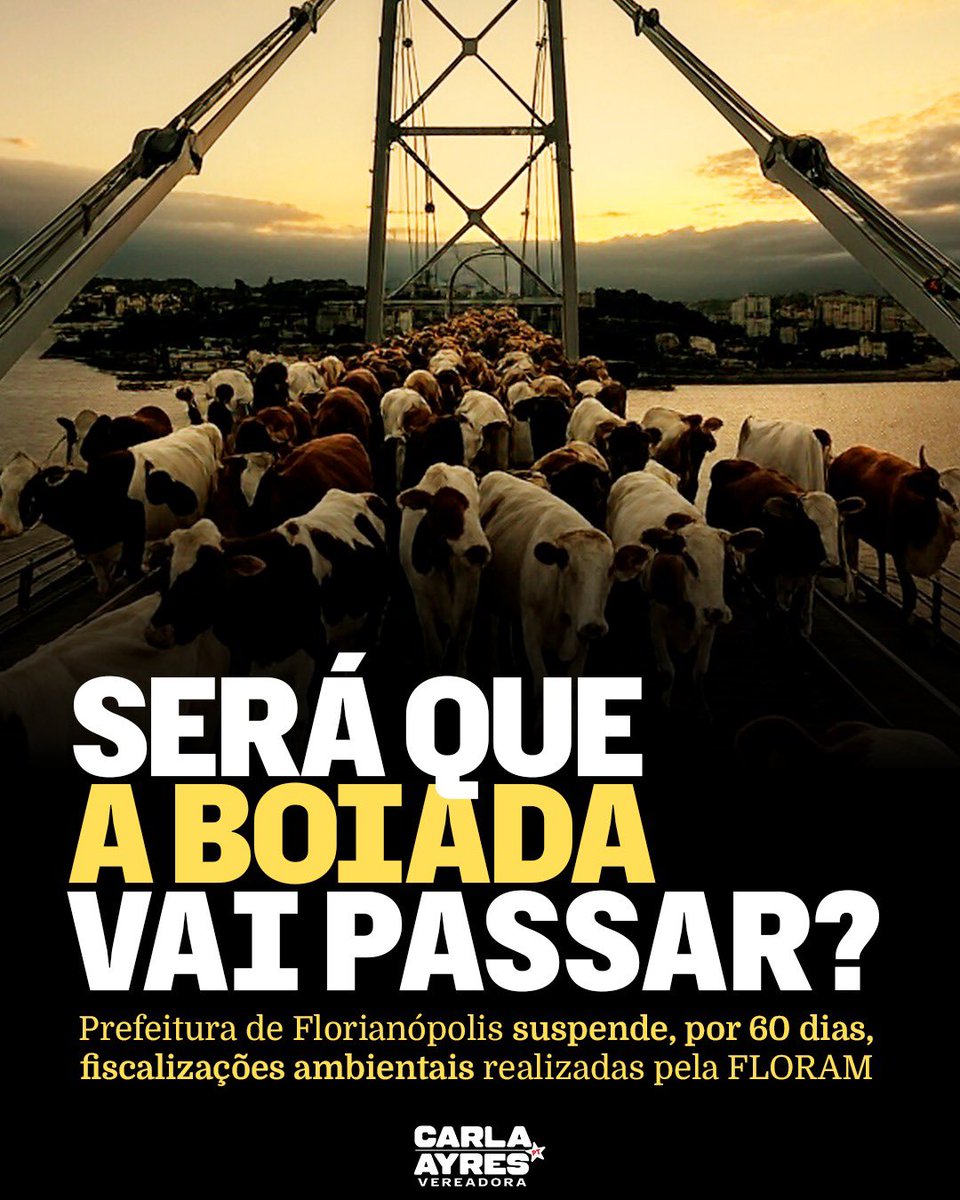 carlaayres's tweet photo. SERÁ QUE A BOIADA VAI PASSAR? 🐂

A Prefeitura de Florianópolis decidiu suspender por 60 dias as fiscalizações ambientais feitas pela FLORAM. Enquanto isso, denúncias e novos casos vão ficar parados, exceto os que a própria presidência do órgão considerar “urgentes”.

A desculpa é o acúmulo de processos e a falta de estrutura. Mas, em vez de reforçar a fiscalização e contratar mais gente, a Prefeitura escolheu parar de fiscalizar.

Por isso, acionamos o Ministério Público de Santa Catarina (MPSC) para investigar essa portaria e cobrar explicações da Prefeitura.