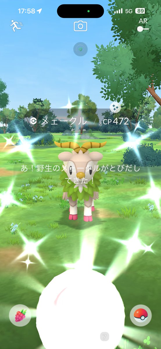 MewtwoArchen's tweet photo. イベントの谷間シリーズ😉

野生でメェークル色違い😍

 #ポケモンgo好きな人と繋がりたい #ポケモンgo色違い #ポケモンgo https://t.co/tf024NcO4N