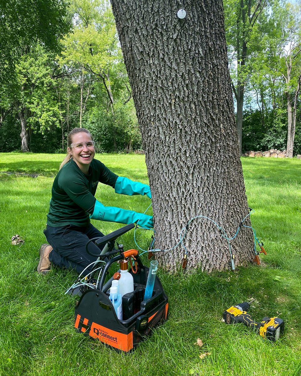 Tree Trust tweet media