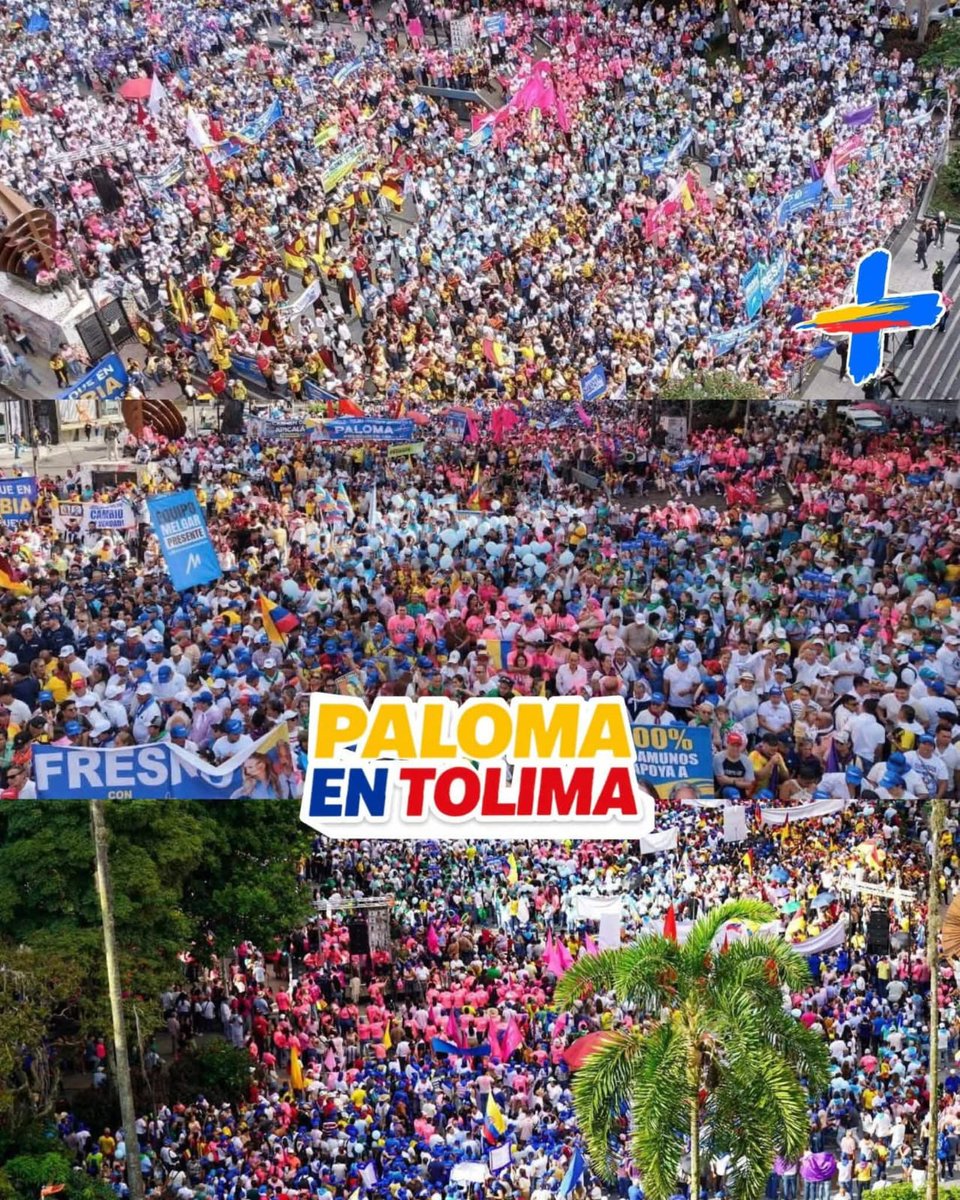 WILMER Pacheco Trujillo tweet media