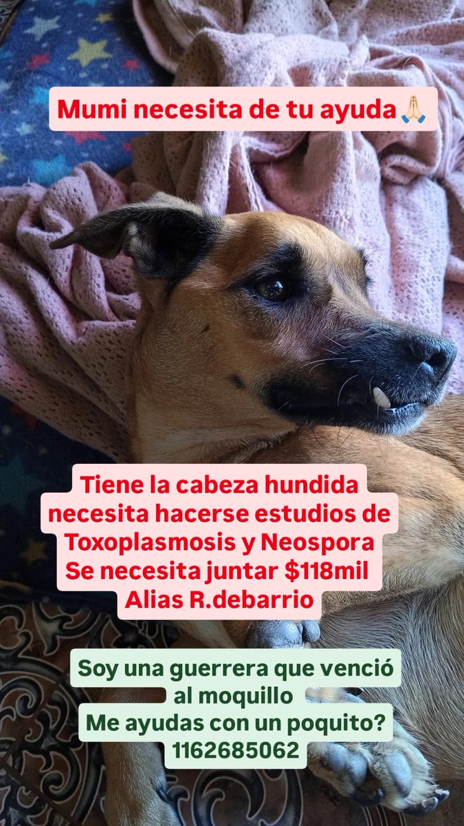 StellaMarisMar1's tweet photo. Me ayudan a compartir mil gracias https://t.co/2hppjChmPQ