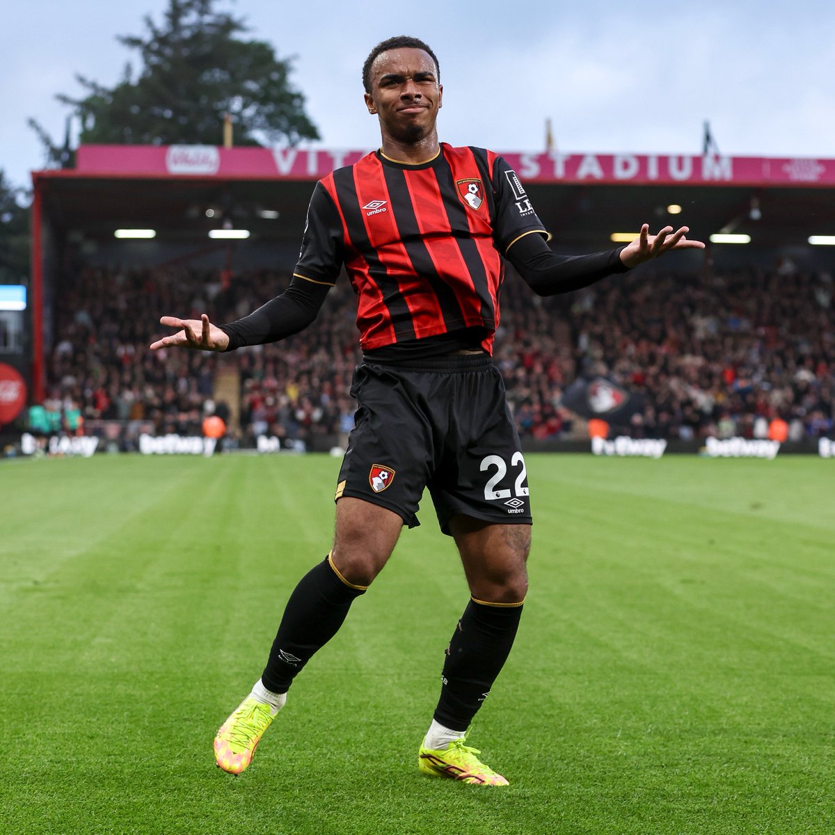 AFC Bournemouth 🍒 tweet media
