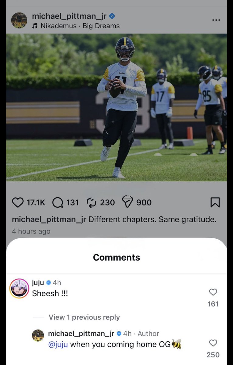 The Standard tweet media