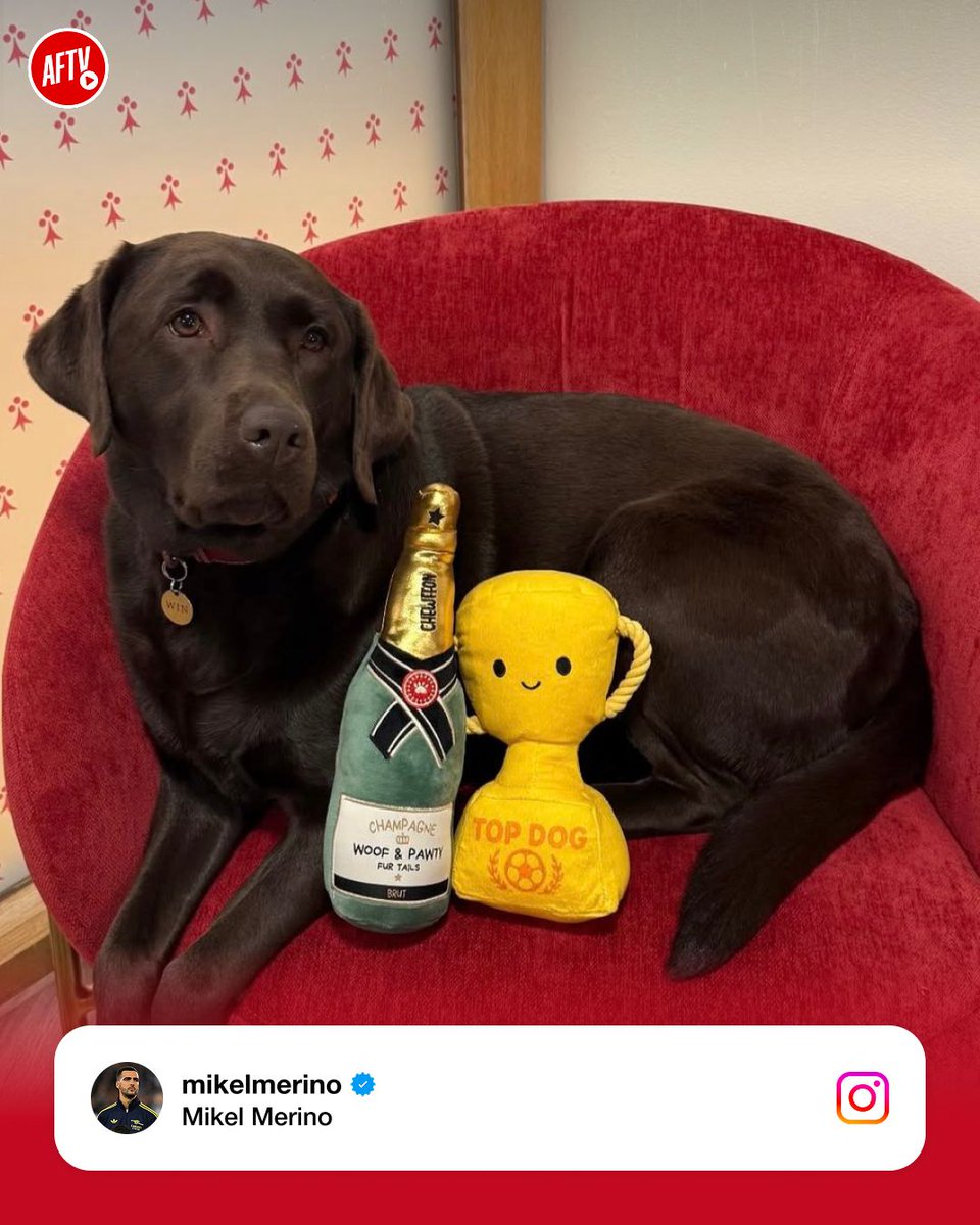 AFTVMedia's tweet photo. Top Dog in a Top Team. 𝐎𝐔𝐑 𝐖𝐈𝐍! 🏆️ 🐶 https://t.co/8C685Z1Ltk