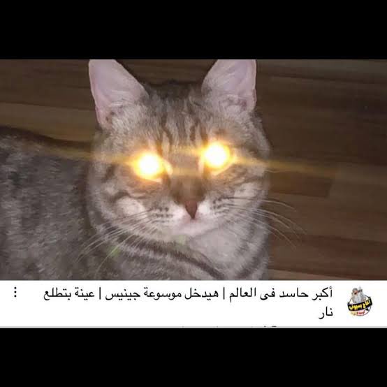 ezi2o's tweet photo. @i14nn حظك ماشاء الله حقين الرياض شكلهم معاملين الاول بارك لاين https://t.co/fXoq57H54d