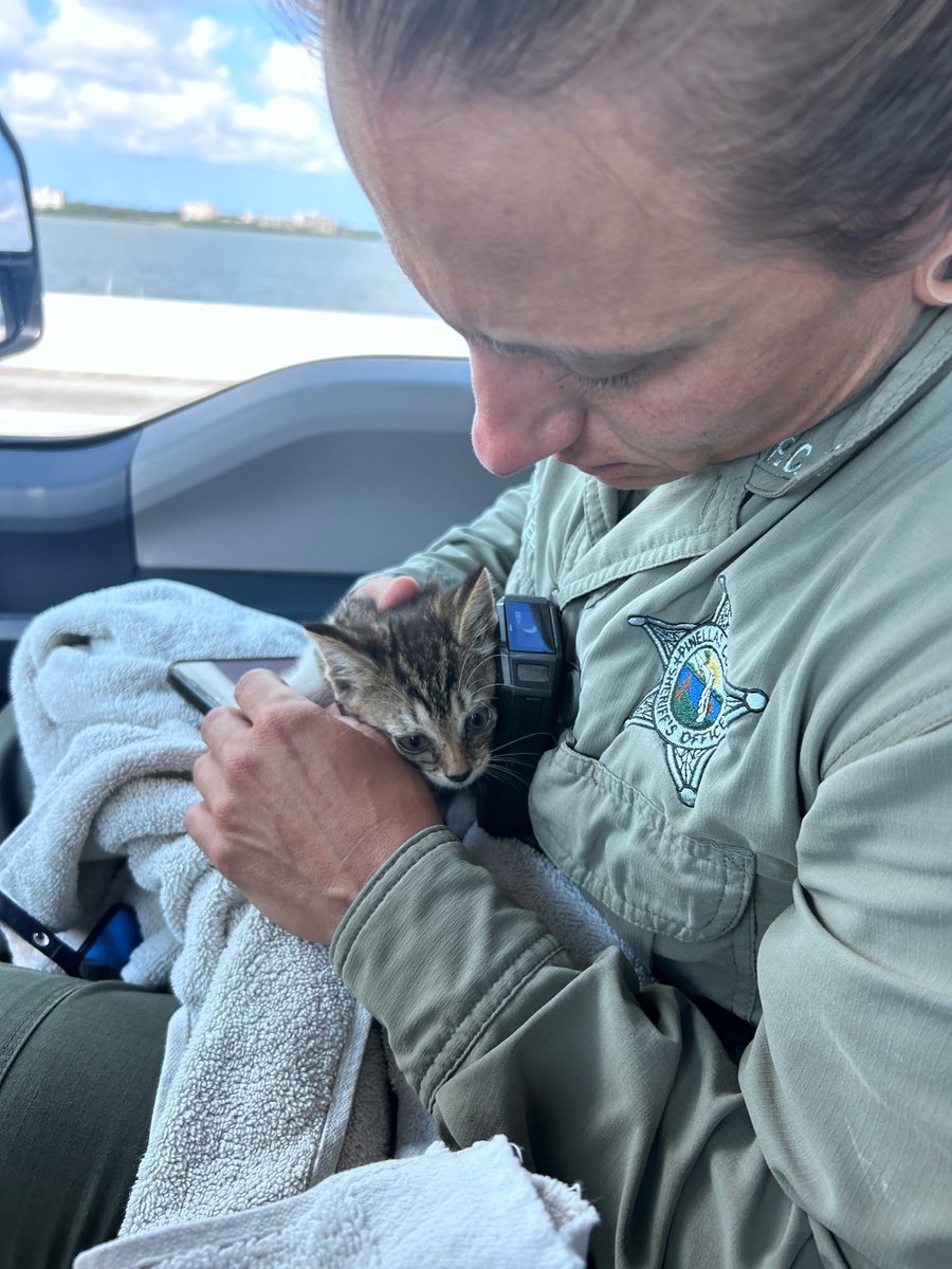Pinellas County Sheriff's Office tweet media