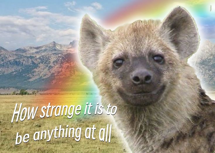 Bieta (@Muscari_Hyena) / Posts / X