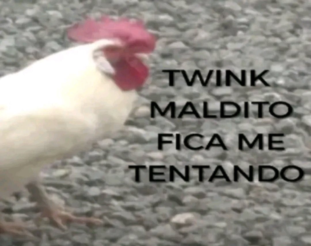 erno tweet media