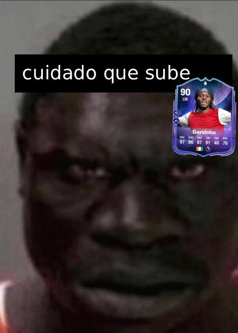Polocho tweet media