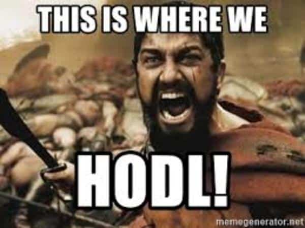 HODL tweet media