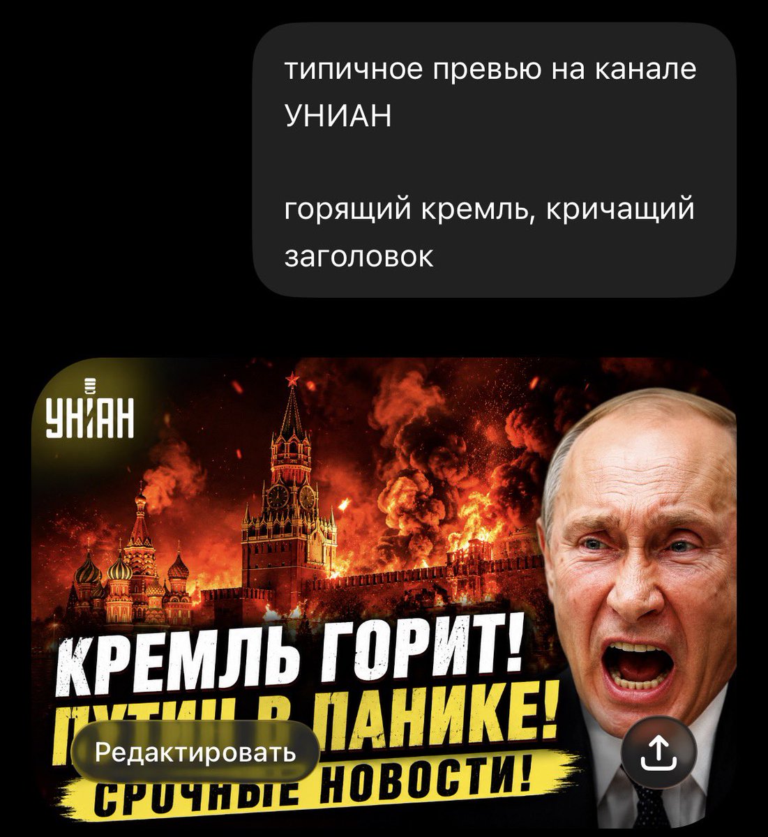 тимофей tweet media