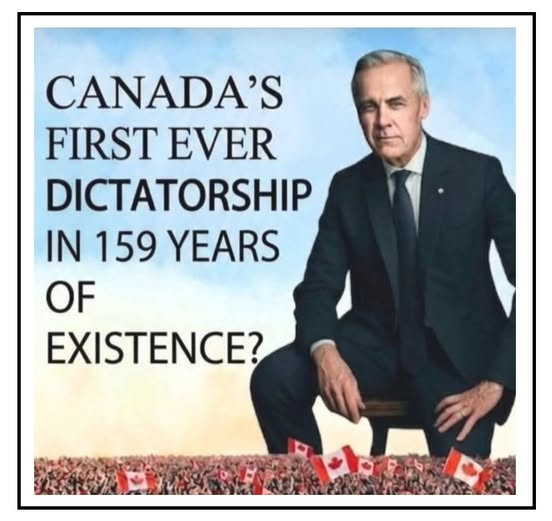 Debbie 🇨🇦 tweet media