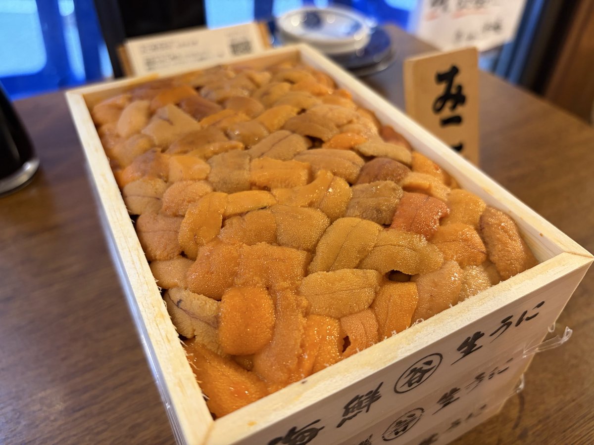フラッグハルミ・湾岸 tweet media