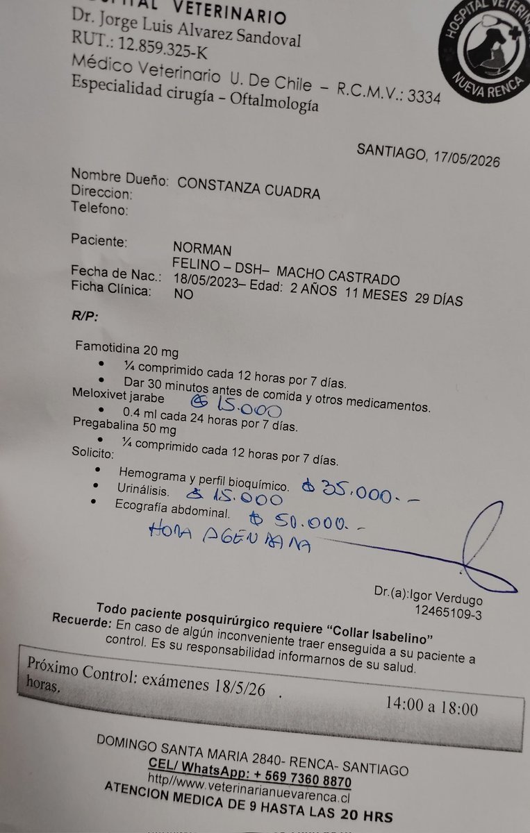 MuchiMuchi35368's tweet photo. Holamigos/as, le pude hacer la ecografía a Normancito, ahora tengo que hacerle los otros exámenes para -ojalá- descartar hipotiroidismo.

Les pido ayuda con su RT para llegar a más gente y ojalá alguien me pueda ayudar.

Gracias de antemano por tu ayuda en la difusión. https://t.co/vYy9FI0ZbN
