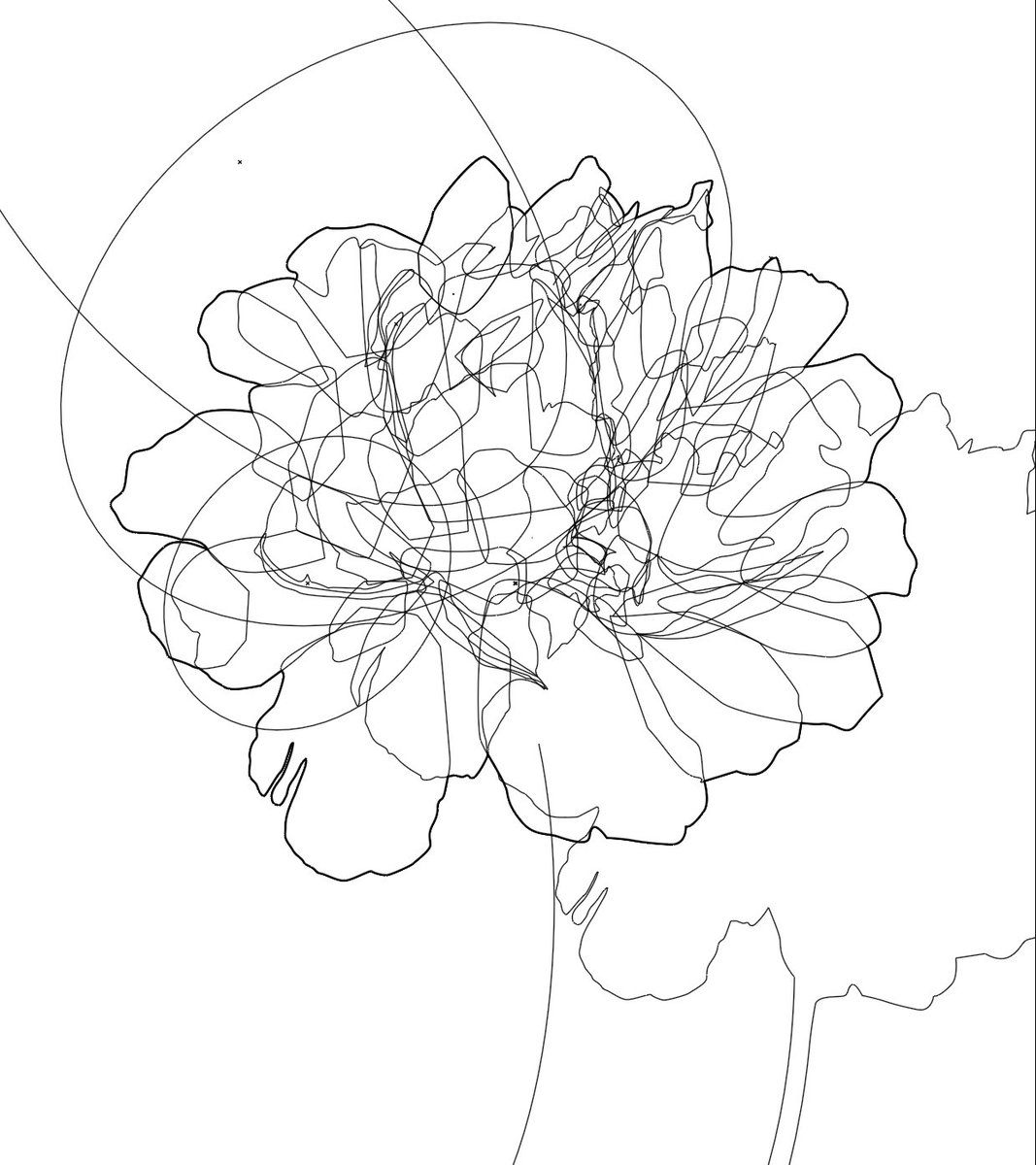 panko_pt's tweet photo. イラレで制作したシャクヤクのイラスト

2枚目はアウトライン

#イラスト #illustration #イラレ https://t.co/nmOOlFbjNw