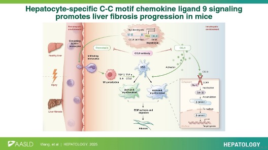 HEPATOLOGY Journal tweet media