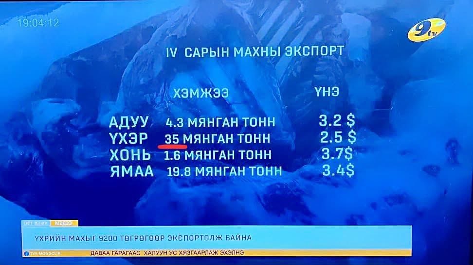 Jak. 🌎🇲🇳🇺🇸🇺🇦🇪🇺🇨🇳 tweet media
