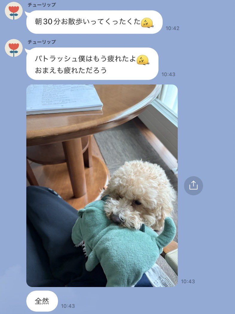 ふみ (@fumi23_3) / Posts / X