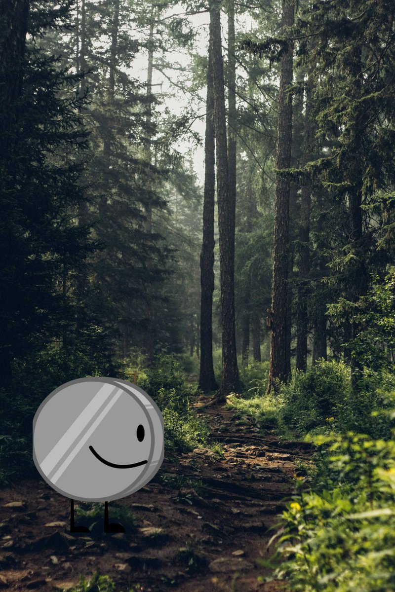 nickel bfdi tweet media