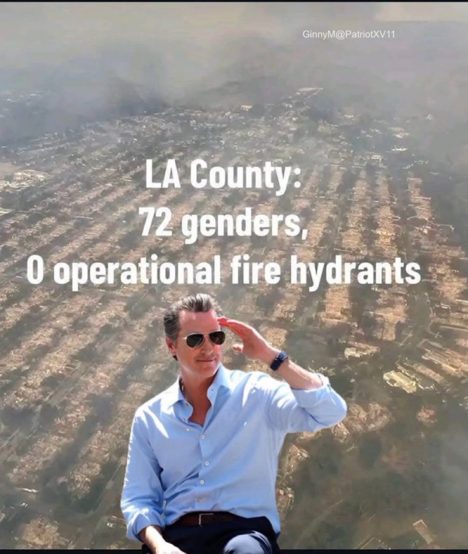 James Woods tweet media