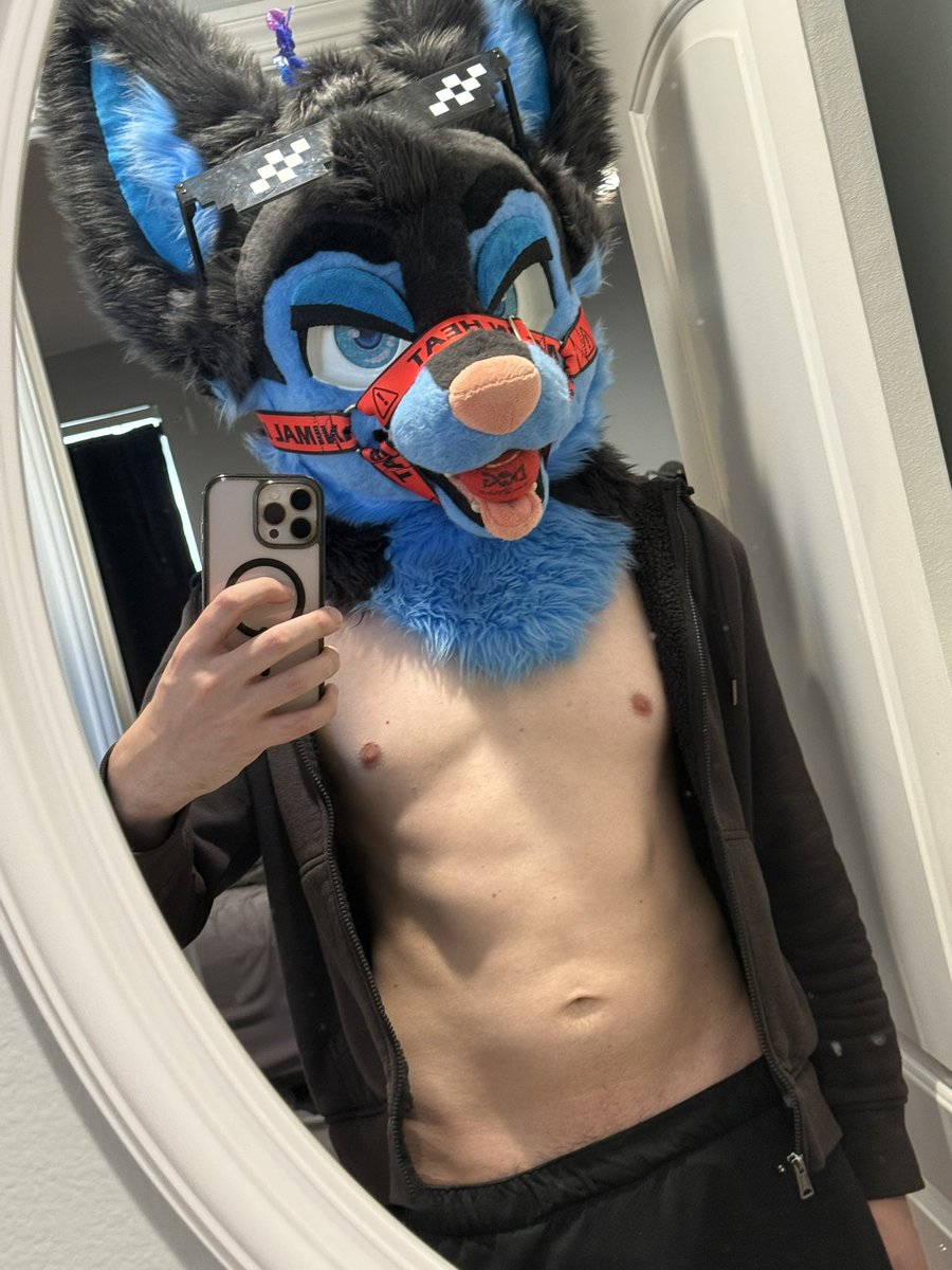 Skye The Husky 🔜 MEGAPLEX tweet media